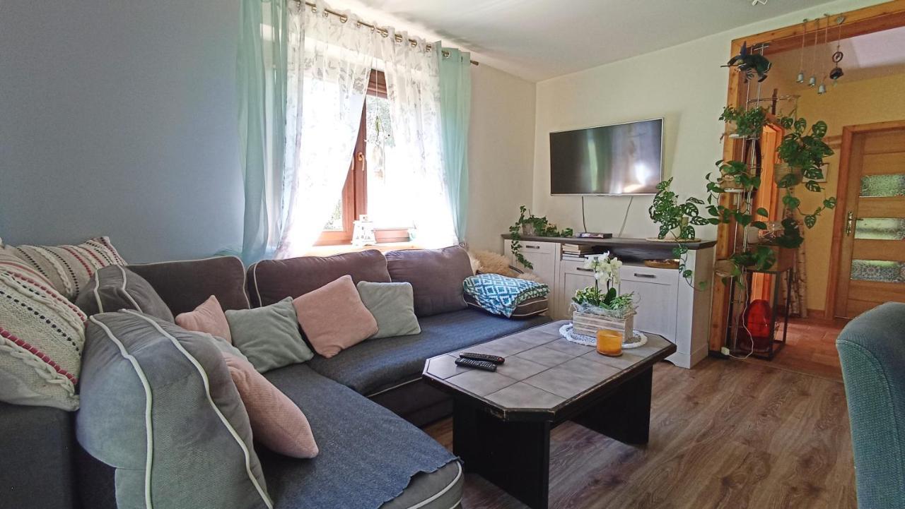 Zacisze Drwala Landhaus Lutowiska