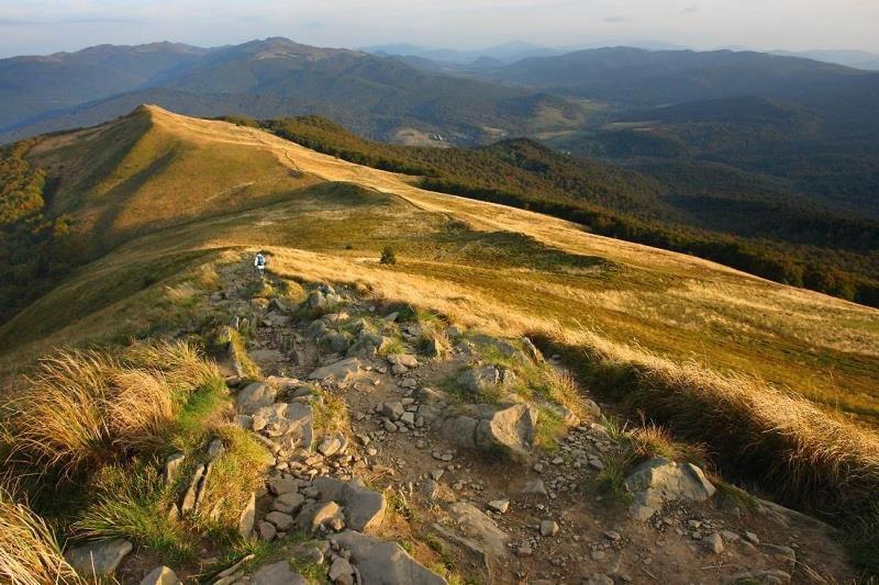Zacisze Drwala
